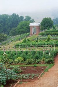 How to Plant a Garden Using Jeffersonian Principles Image